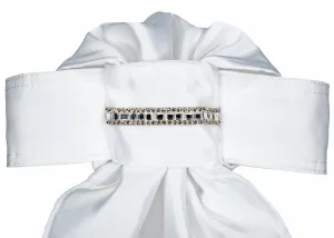All Tied Up Stock Tie - The Glenn #12