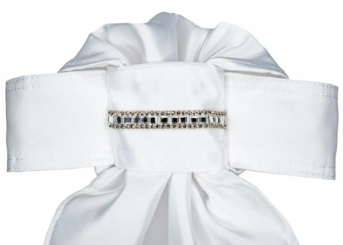 All Tied Up Stock Tie - The Glenn #12